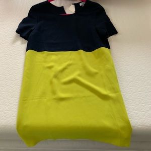 Tobi Navy and Lime Color Block Dress - NEW